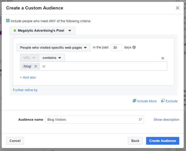 Blog Visitors Audience via Facebook Pixel