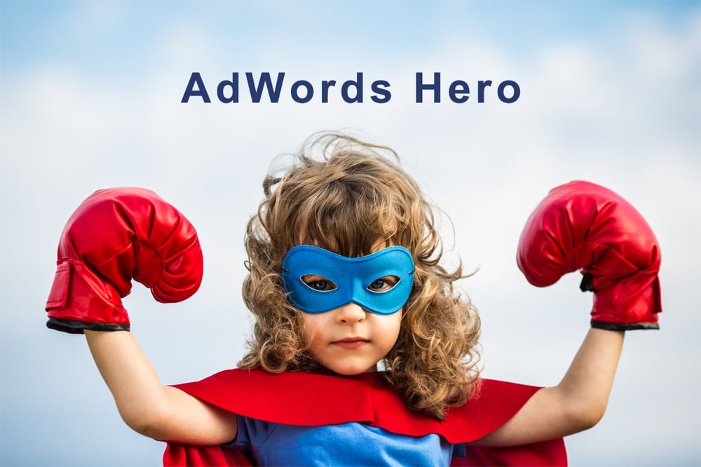 image of an adwords hero