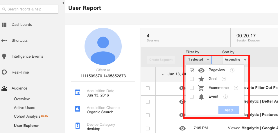 User Report Filter by Pageview