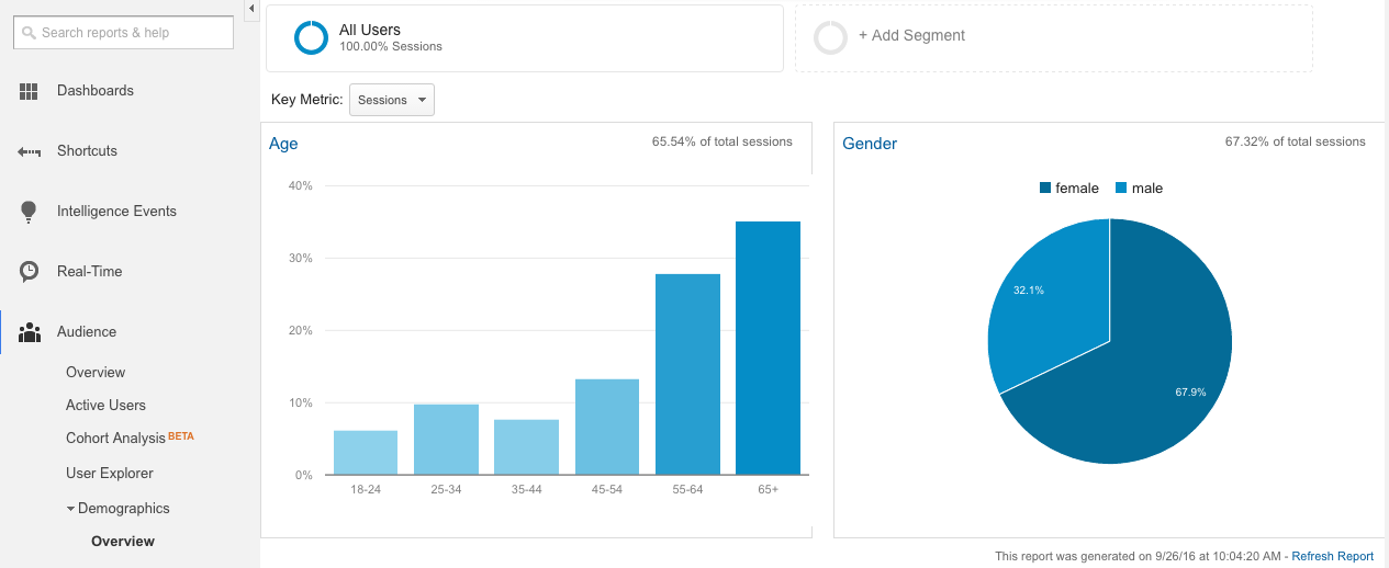 Google Analytics Audience Overview