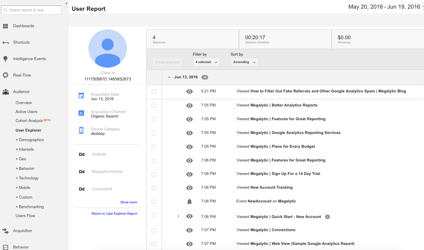 Google Analytics Individual User Report