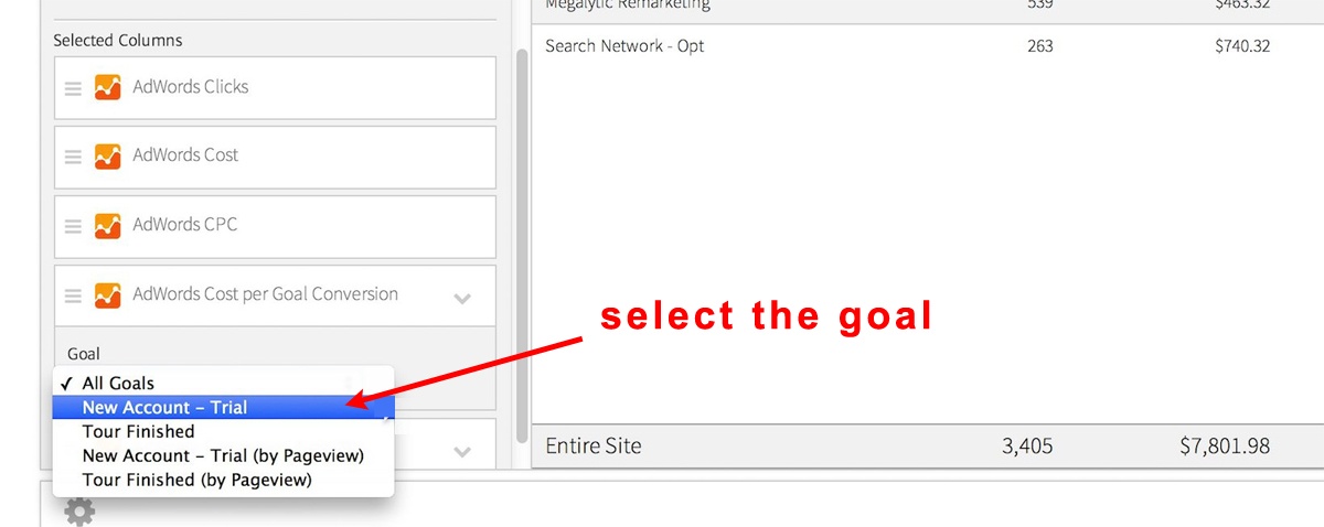 image showing how to select goals in a Megalytic adwords report