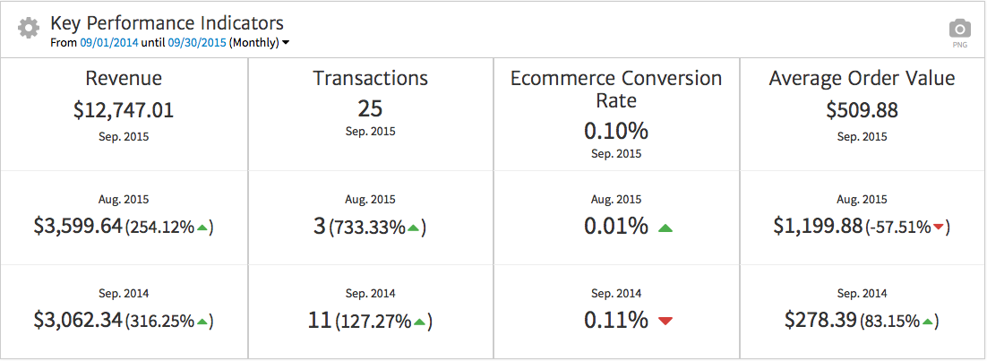 Ecommerce KPIs Displayed with Megalytic