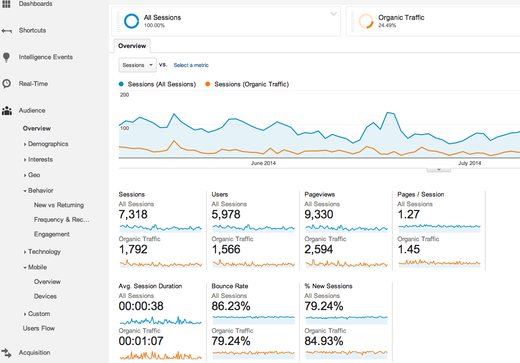 google analytics organic traffic overview