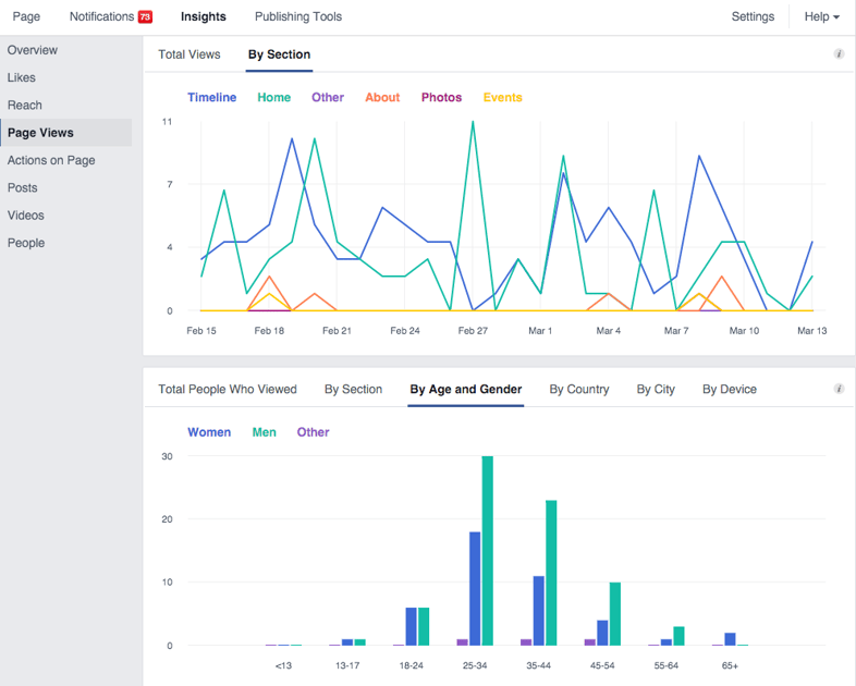 Facebook Page Views