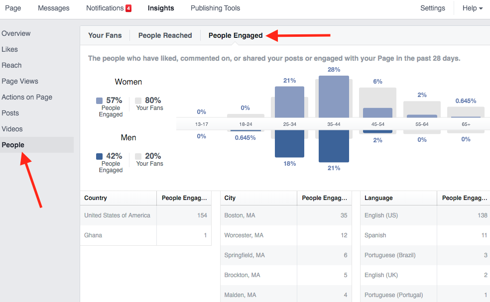 Facebook Insights Demographics of Engaged Users