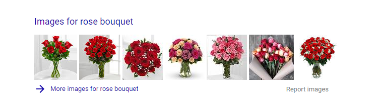 Visually Oriented Search Results