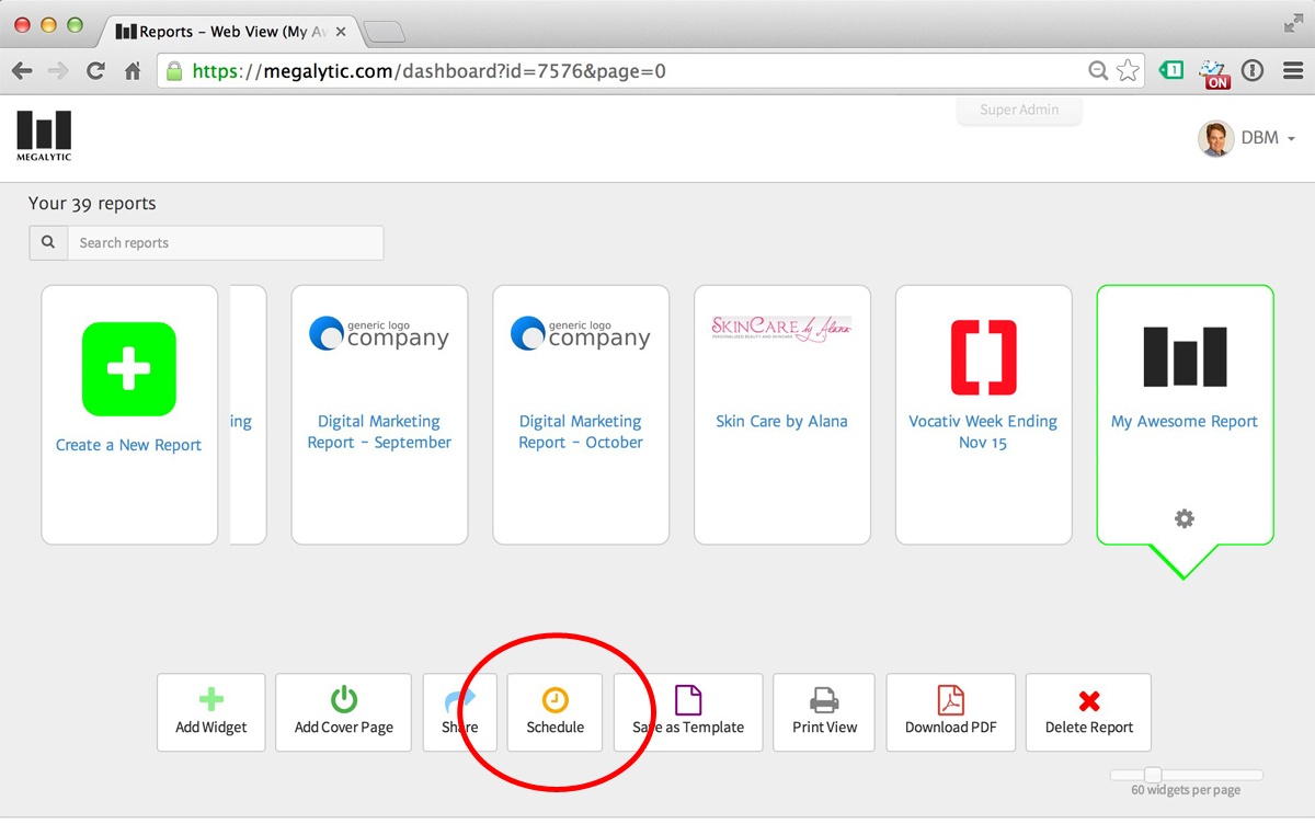 Scheduling a Report in Megalytic