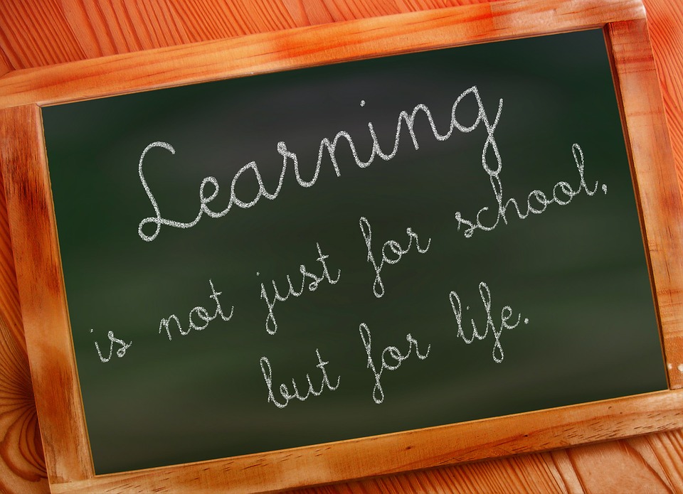 Learning is Not Just for School
