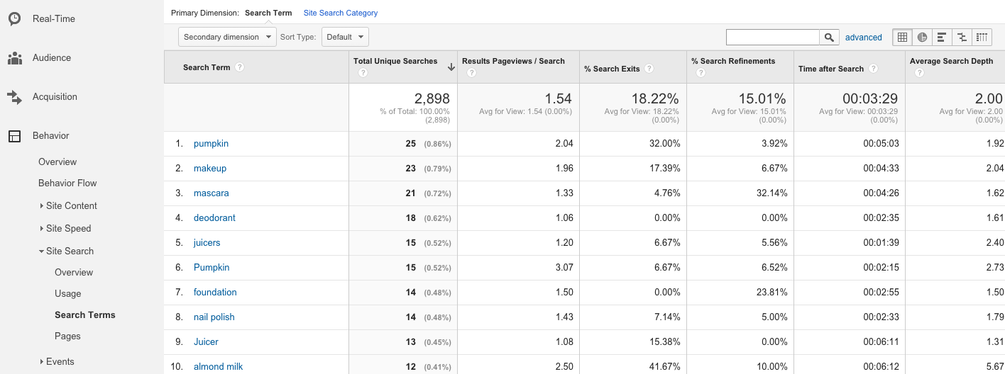 Site Search Terms