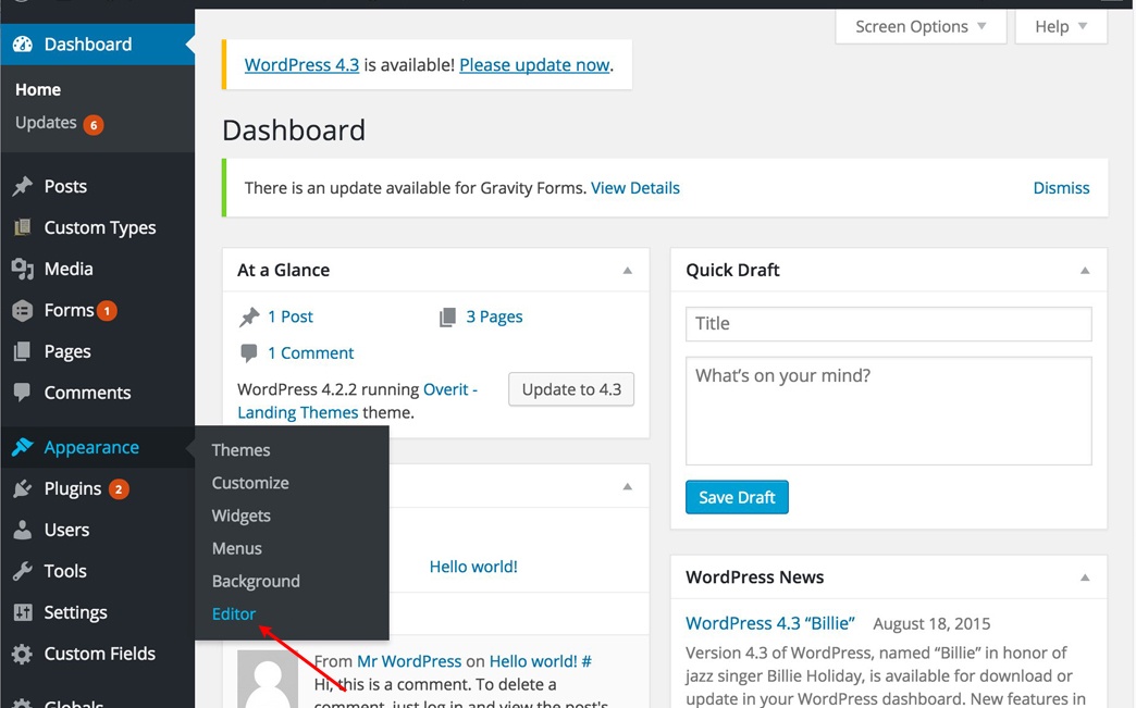 WordPress Appearance > Editor